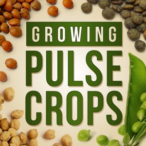 Growing Pulse Crops podcast logo