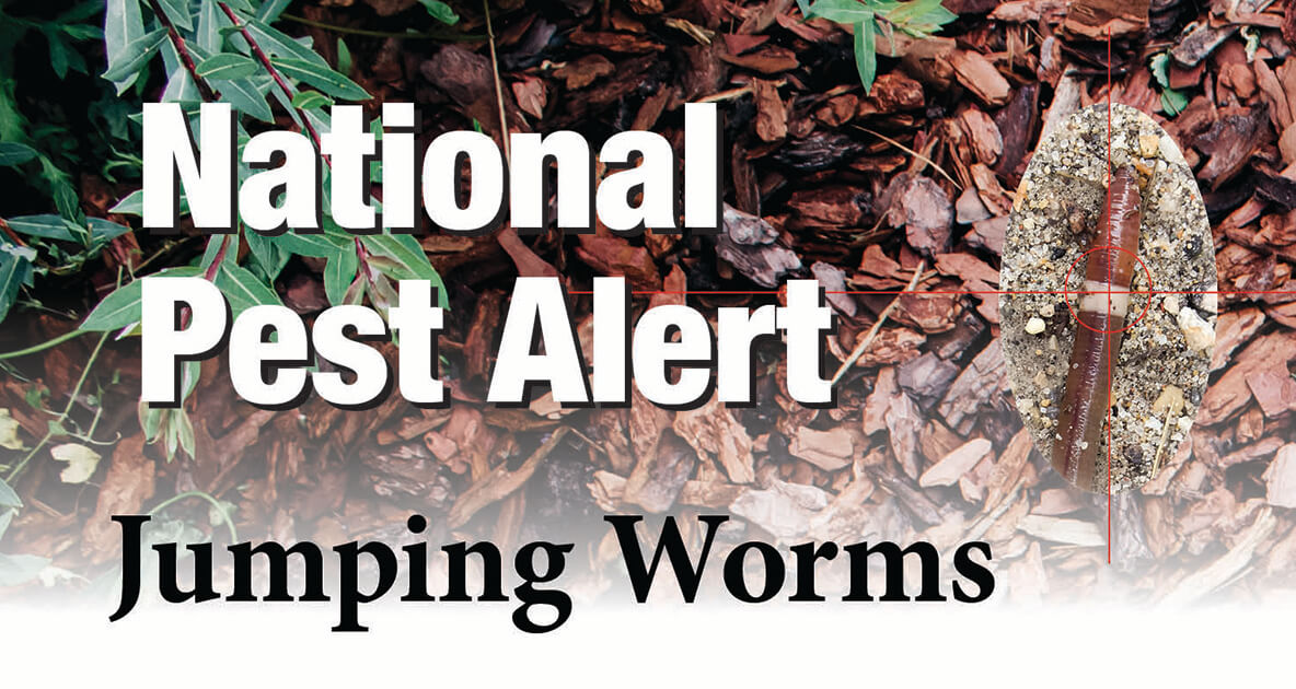 National Pest Alert about Jumping Worms.