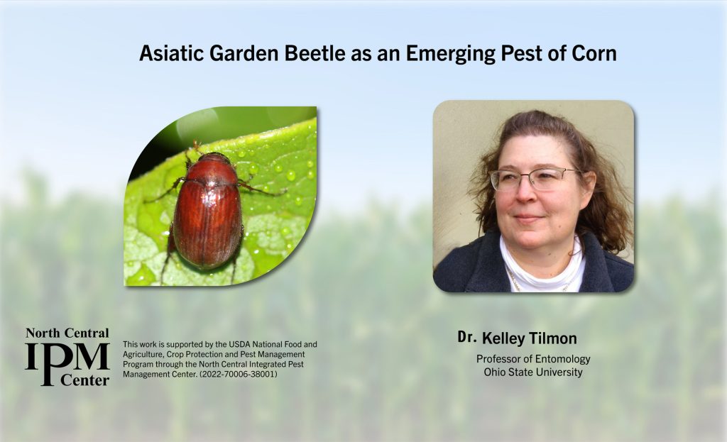 Title: Asiatic Garden Beetle as an Emerging Pest of Corn. Featuring Dr. Kelley Tilmon from Ohio State University