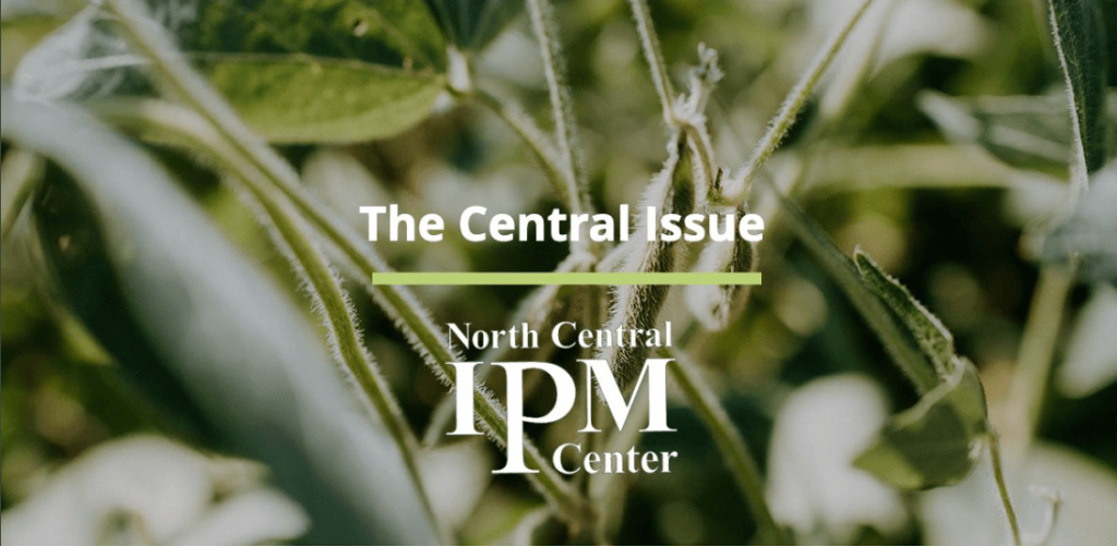 Central Issue newsletter logo