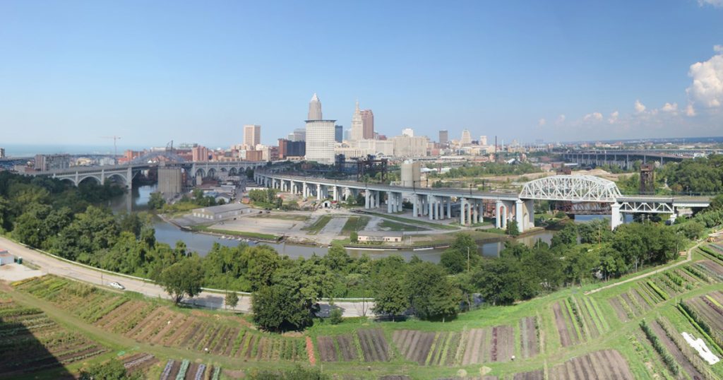 Aerial view of large urban garden with city buildings in the background