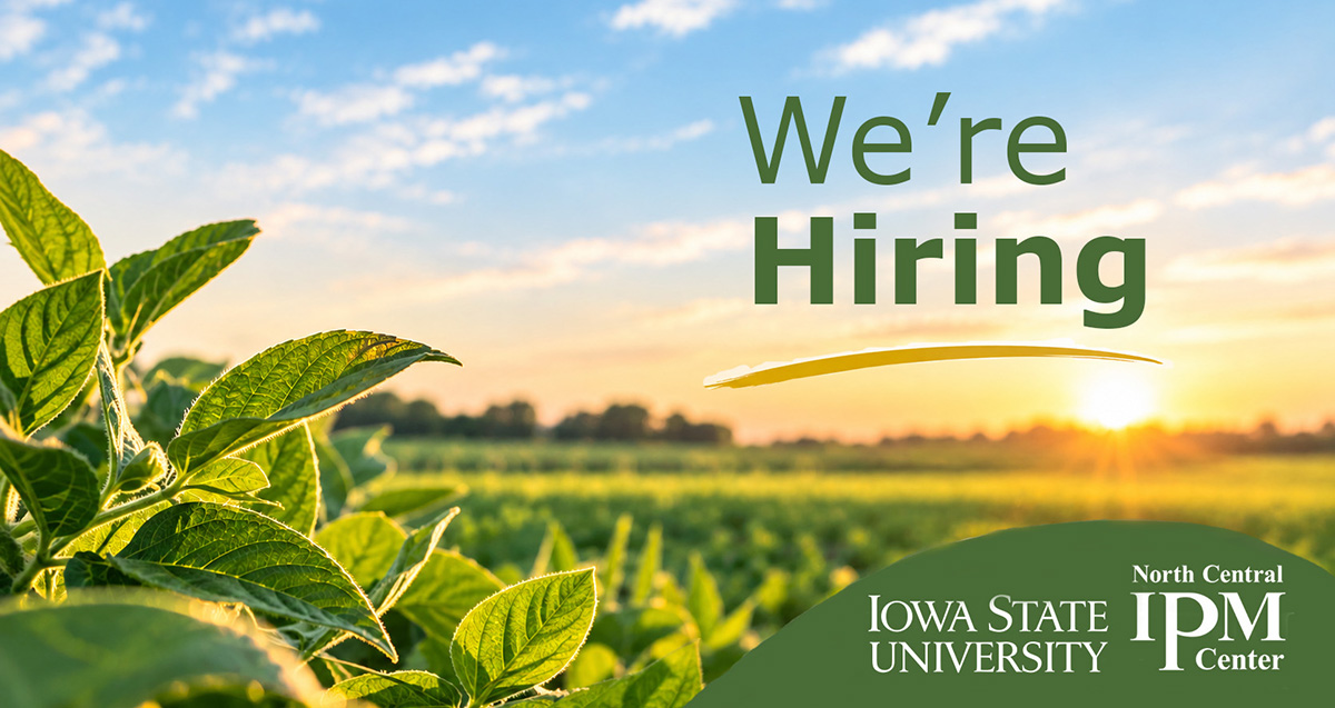 "We're hiring" on a background of a soybean field at sunset.