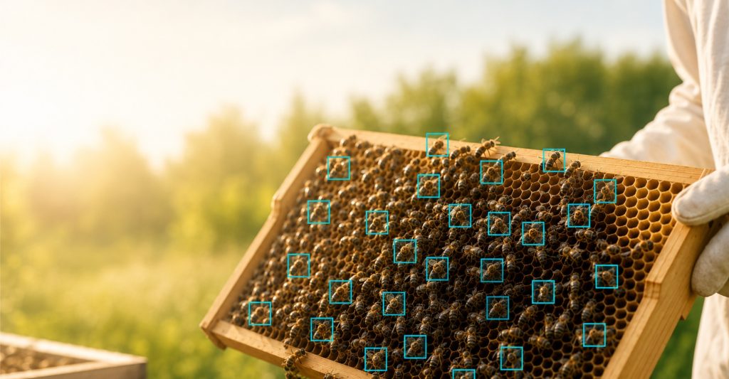 Beekeeper holding a frame from a hive. Selected bees are marked with blue squares.