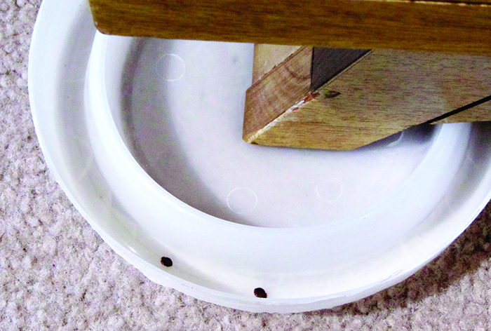 Bed post resting on a bed bug barricade, which is a white plastic circle with a trough with a high wall near the edge.