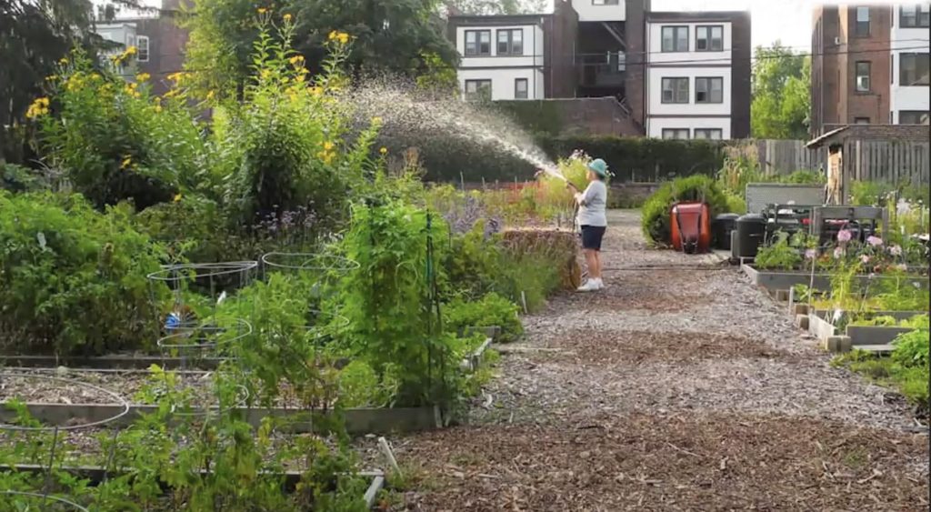 Community garden next to apartment buildings