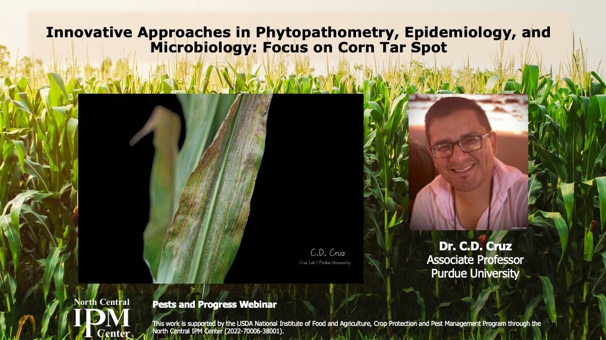 Webinar title: Innovative Approaches in Phytopathometry, Epidemiology, and Microbiology: Focus on Corn Tar Spot. Speaker is C.D. Cruz from Purdue University. A photo of CD Cruz and a photo of an ear of corn with black spots of tar spot infection are displayed.