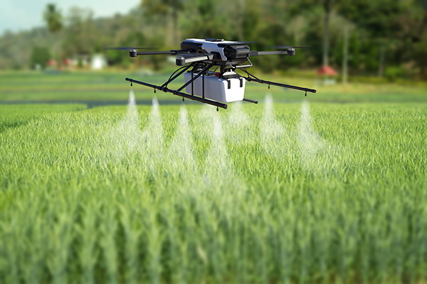 Drone spraying crops
