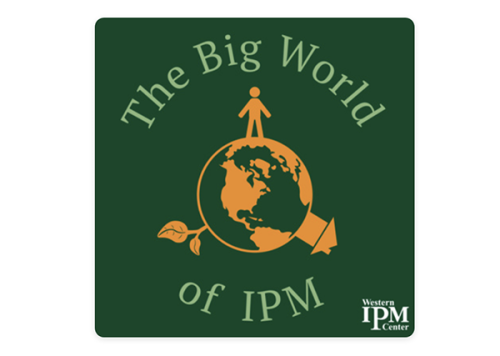 The Big World of IPM podcast logo