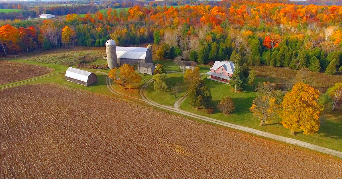 Farm field next to forest