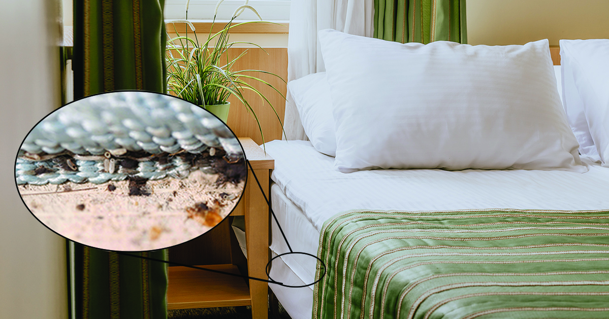 Hotel bed with callout for where to look for bed bugs