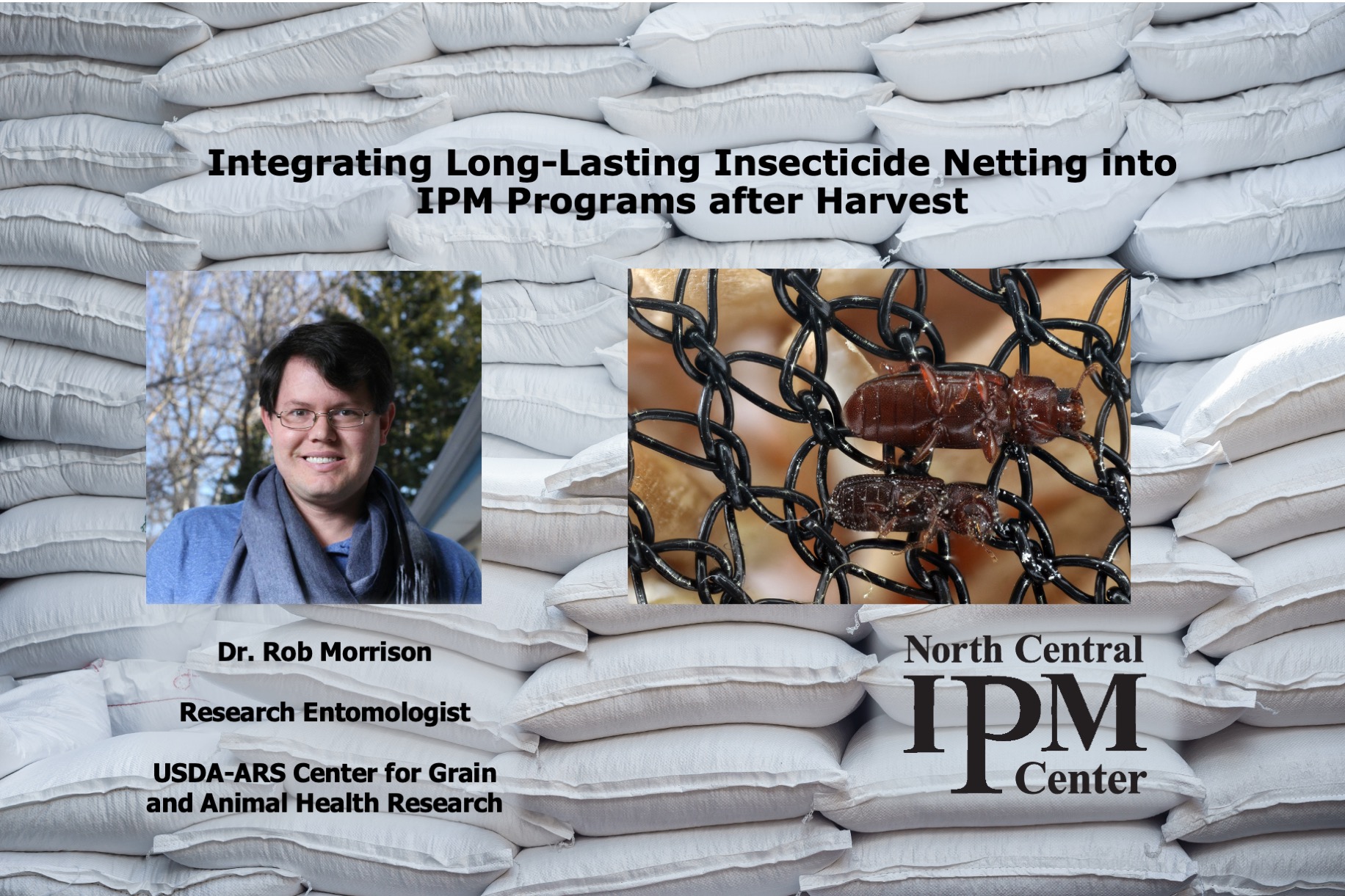 Integrating Long-Lasting Insecticide Netting into IPM Programs after Harvest