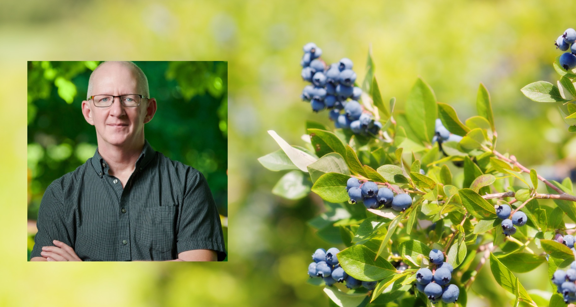Dr. Rufus Isaacs next to a blueberry branch with ripe berries