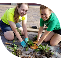 Teenagers working together to plant a garden