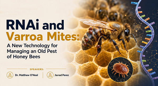 Webinar title: RNAi and Varroa mites; A new technology for managing an old pest of honey bees. Speakers: Dr. Matthew O'Neal and Jarod Perez. Honey bee on honeycomb with a strand of RNA running along the right edge
