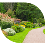 Public garden with flowers and path.