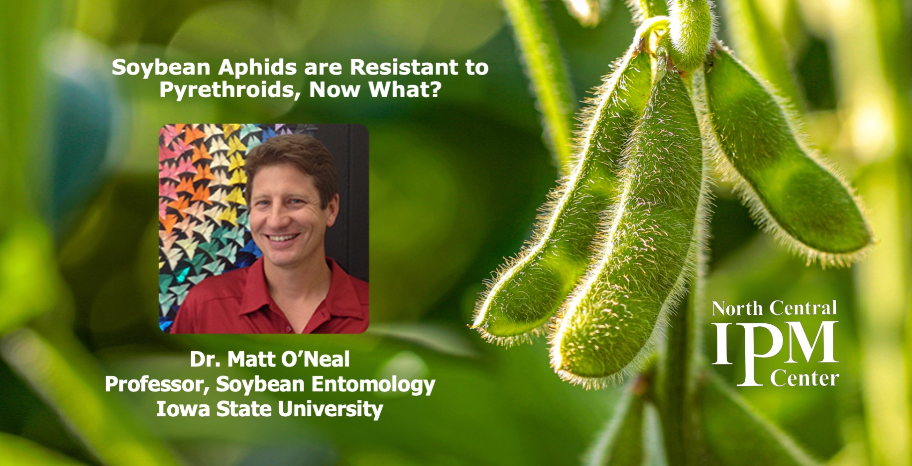 Webinar title: Soybean Aphids are Resistant to Pyrethroids, Now What? Speaker: Dr. Matt O'Neal, Iowa State University