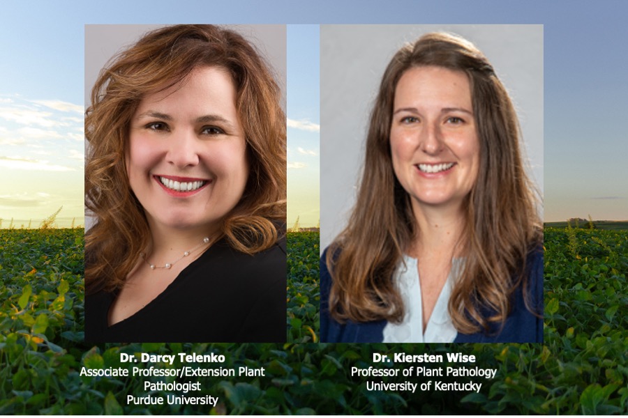 Photo of speakers side by side: Dr. Darcy Telenko Associate Professor/Extension Plant Pathologist
Purdue University;


Dr. Kiersten Wise Professor of Plant Pathology
University of Kentucky