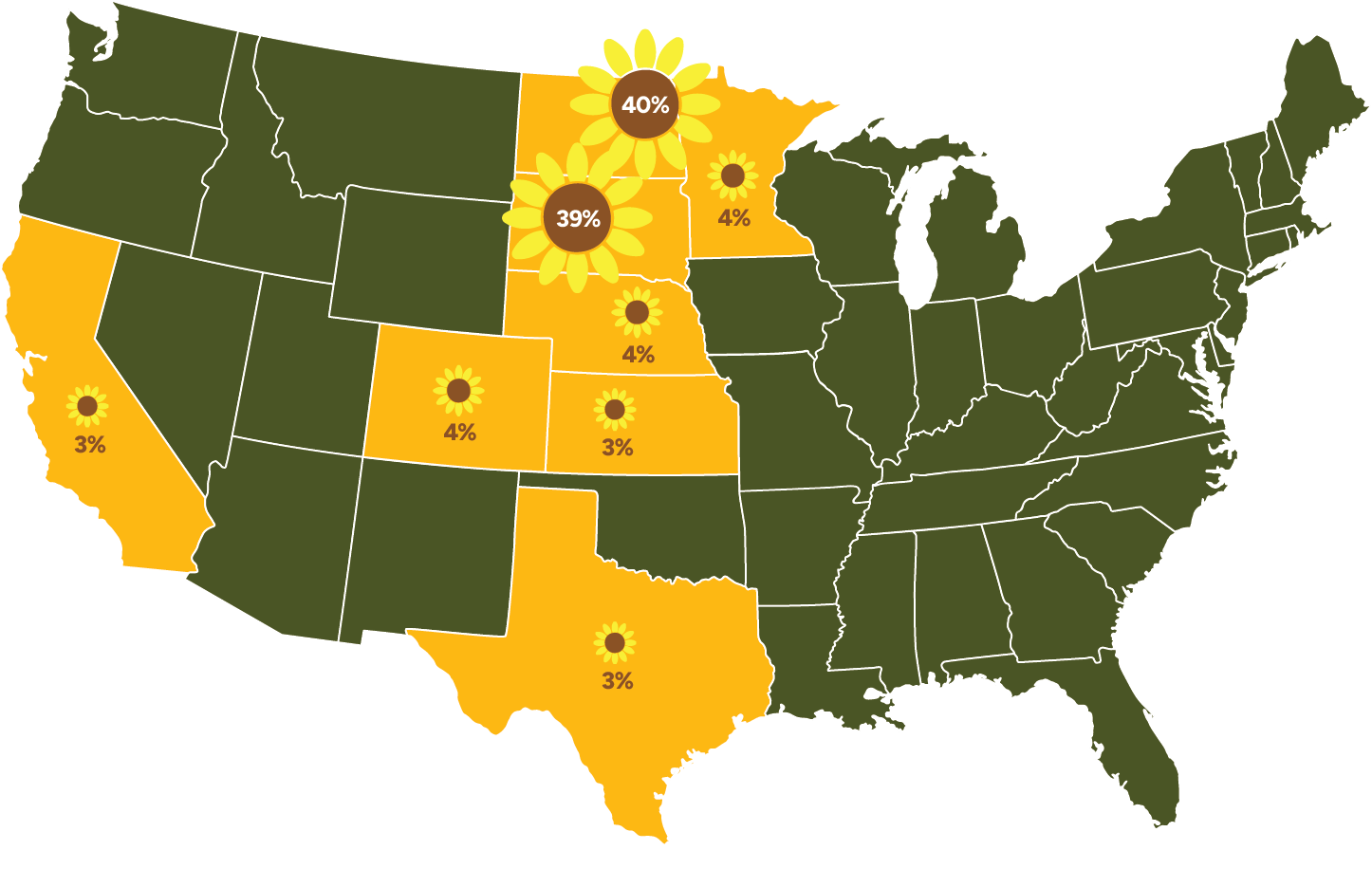 Map of the United States showing the states that grow the most sunflowers. North Dakota (40%), South Dakota (39%), Nebraska (4%), Colorado (4%), Kansas (3%), California (3%), Texas (3%).