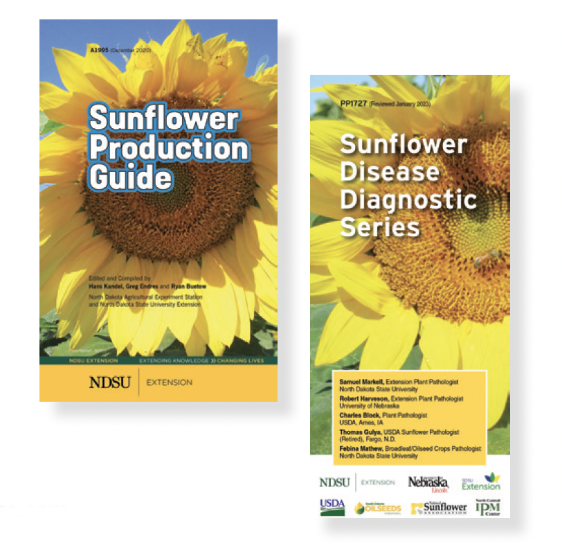 Sunflower Production Guide cover and Sunflower Disease Diagnostic Series Cover