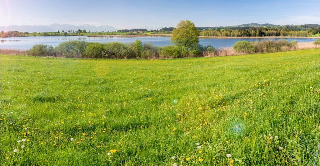 A lovely field with a lake in the background.