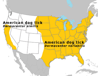 Tick range American dog tick. Dermacentor similis has been found in California and the southwestern edge of Oregon. Dermacentor variabilis has been found in North Dakota, South Dakota, Nebraska, Kansas, Oklahoma, and Texas and every state that is east of these states.